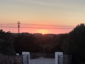 screen-shot-2017-03-01-at-16-56-37