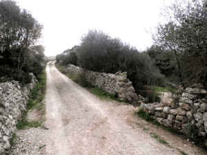 screen-shot-2017-03-02-at-18-29-16